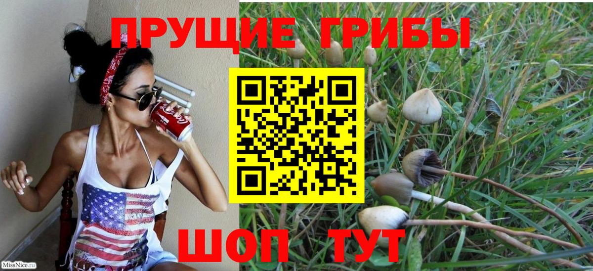 Псилоцибиновые грибы прущие грибы Тобольск