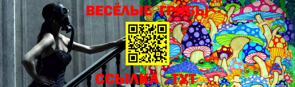 Тобольск  где купить наркоту  Вход с VPN  Галлюциногенные грибы мухоморы 